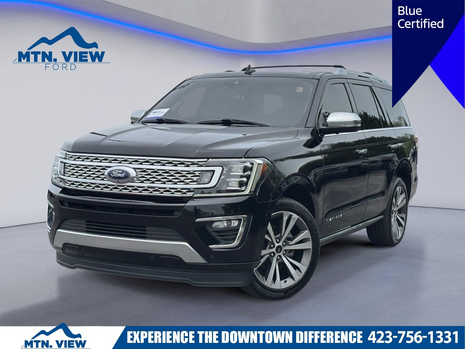 2020 Ford Expedition Platinum's photo