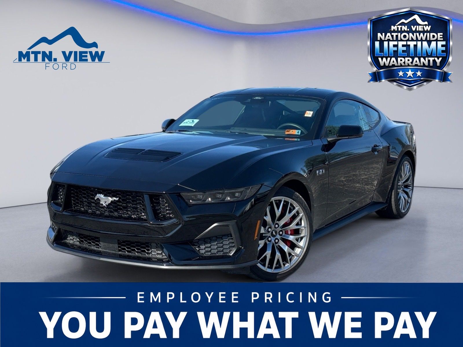 2025 Ford Mustang GT Premium Fastback's photo