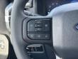 2025 Ford F-150 STX Truck  SuperCrew