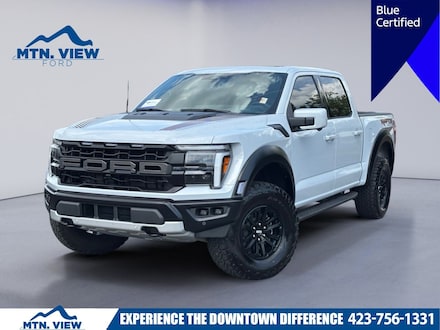 2025 Ford F-150 Raptor Truck