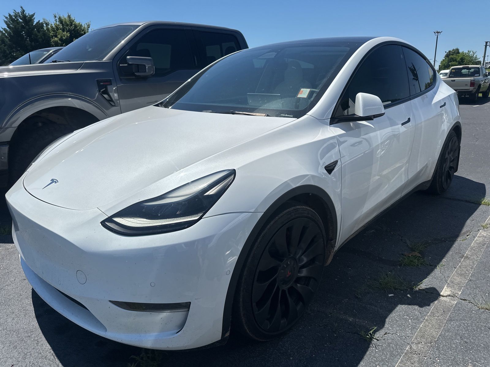 2022 Tesla Model Y's photo