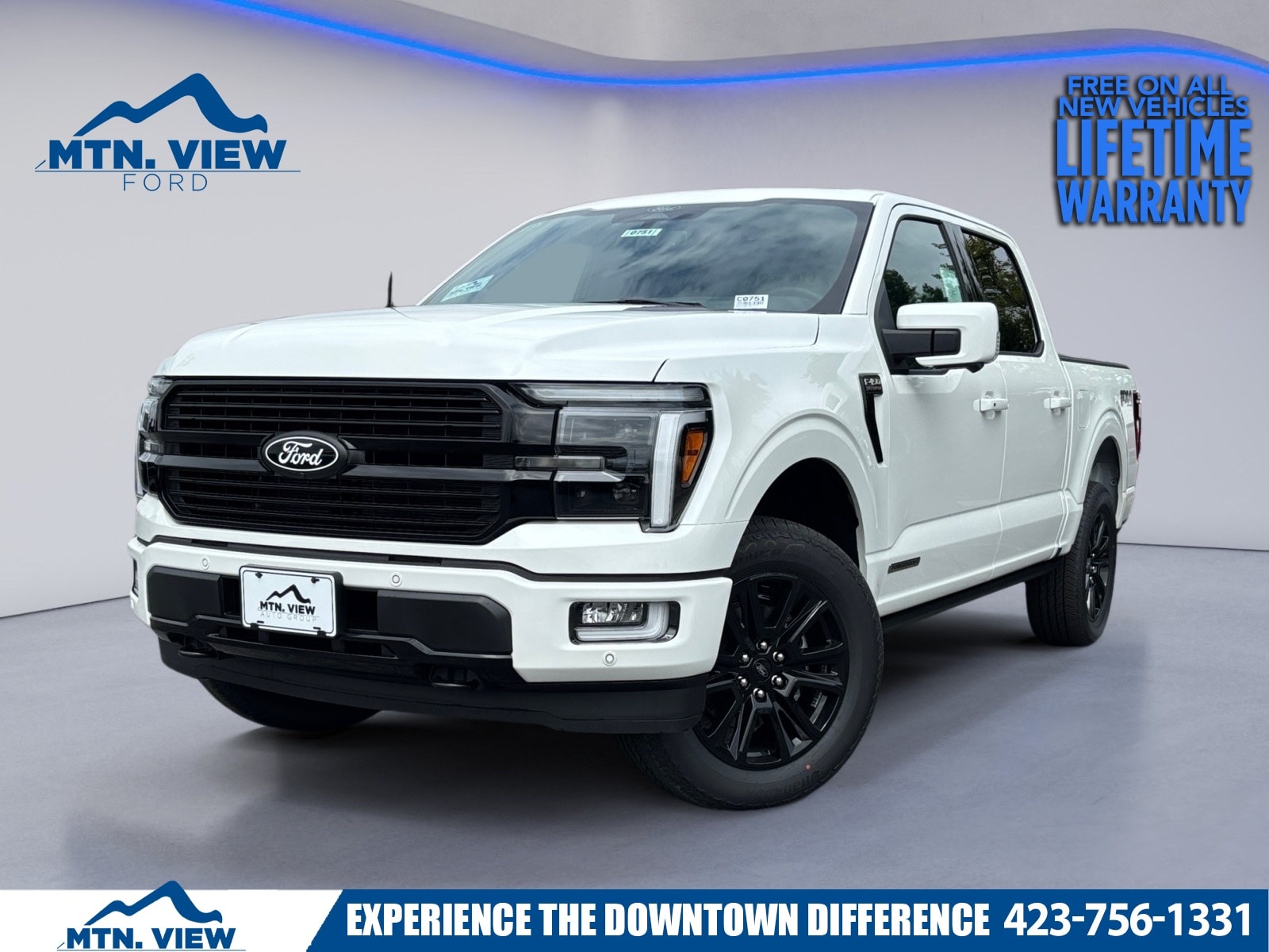 2025 Ford F-150 Platinum's photo