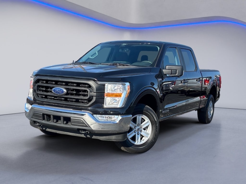 Used 2022 Ford F-150 XL Truck