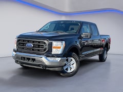 2022 Ford F-150 XL Truck