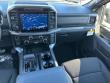 2025 Ford F-150 XLT Truck  SuperCrew