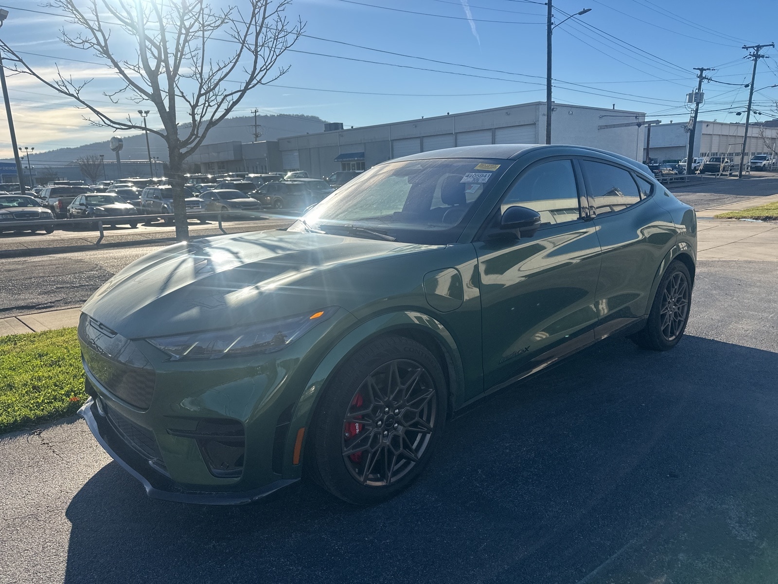 2025 Ford Mustang-Mach-e GT's photo