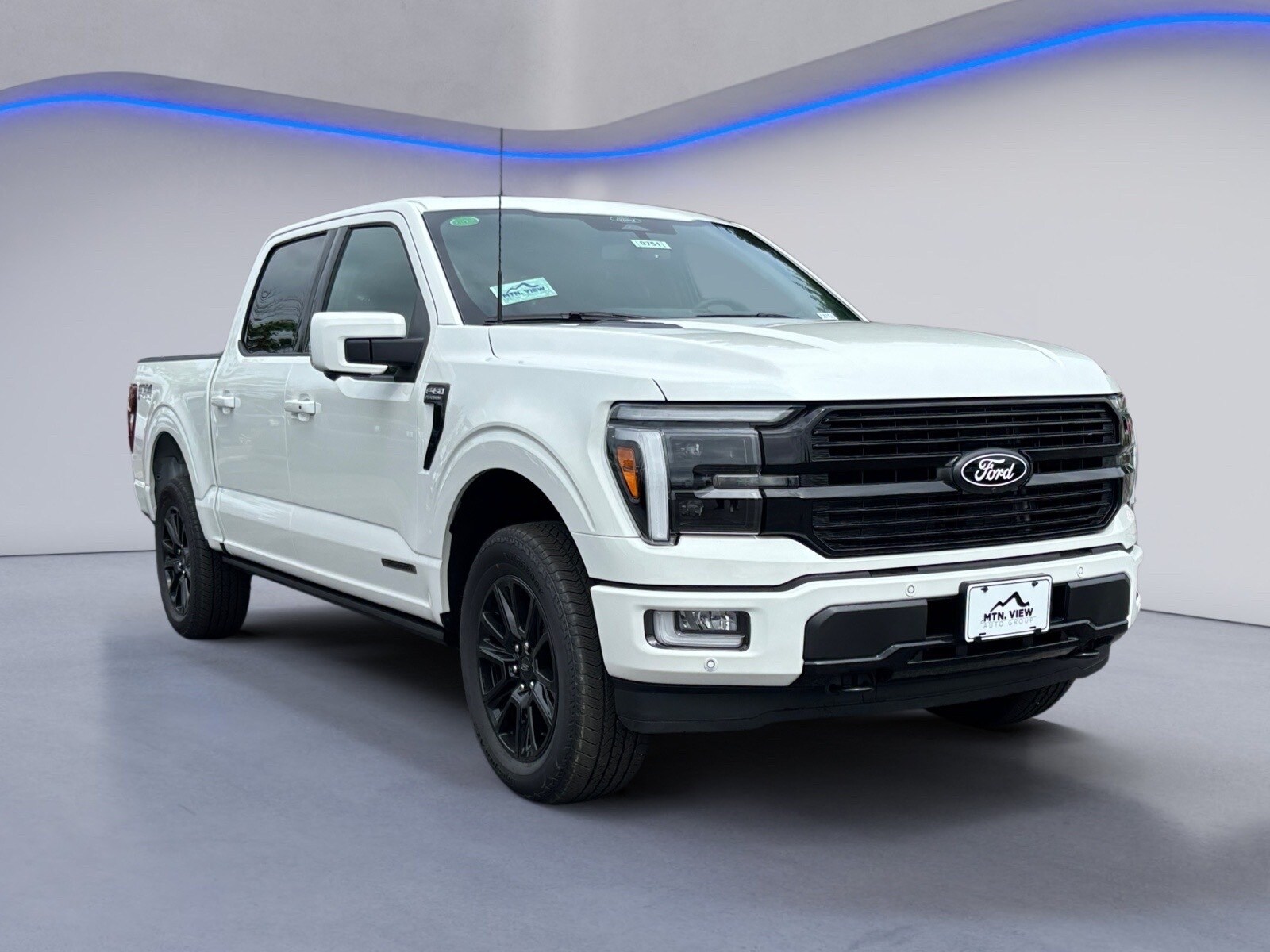 2025 Ford F-150 Platinum photo 3