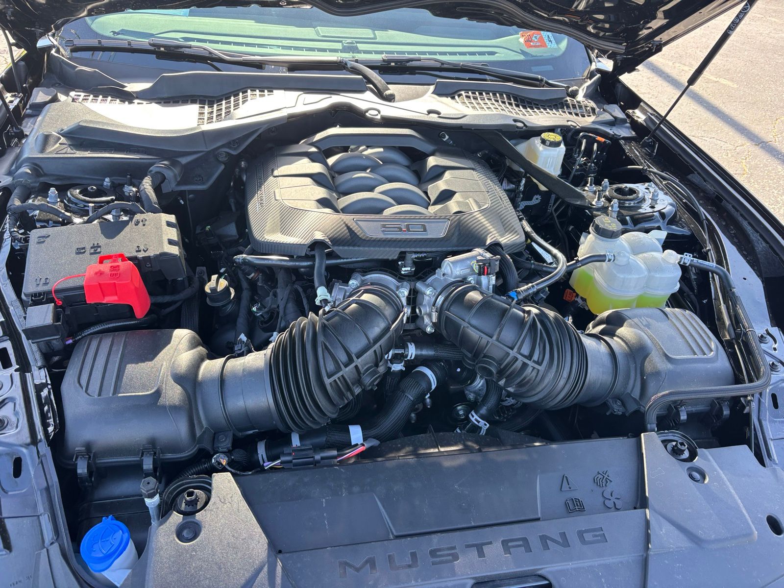 2025 Ford Mustang GT Premium Fastback - Photo 15