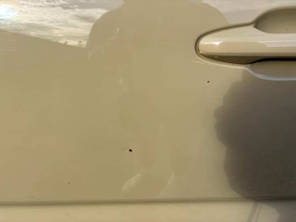 Used 2018 Toyota Tacoma V6 Truck