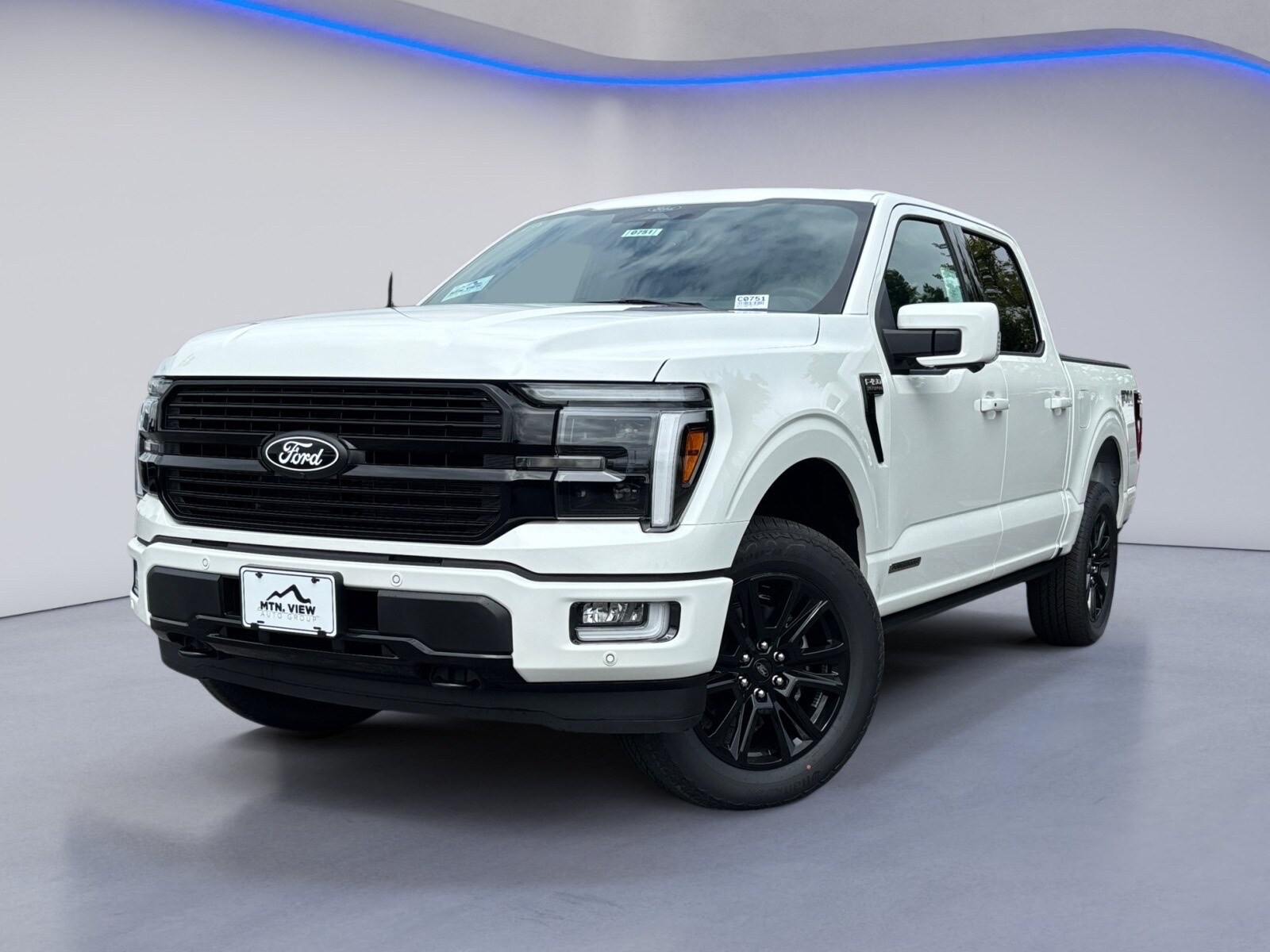 2025 Ford F-150 Platinum photo 2