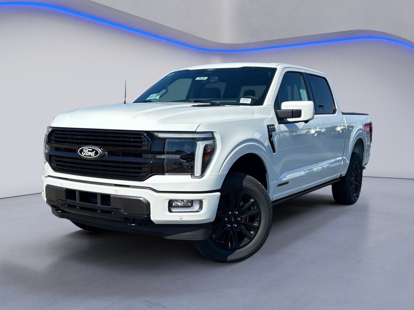 2025 Ford F-150 Platinum photo 2