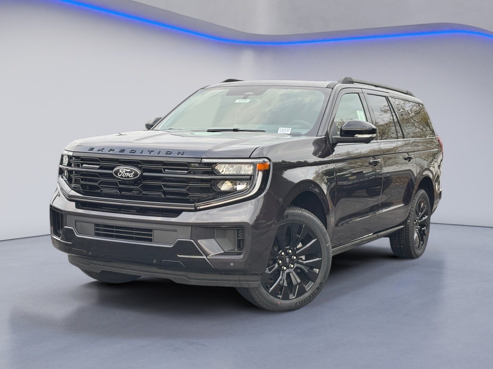 2025 Ford Expedition MAX Platinum photo 2