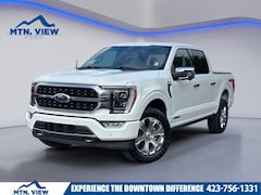 2023 Ford F-150 Platinum Truck
