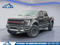2023 Ford F-150 Raptor Truck
