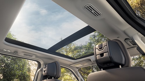 Panoramic Vista Roof
