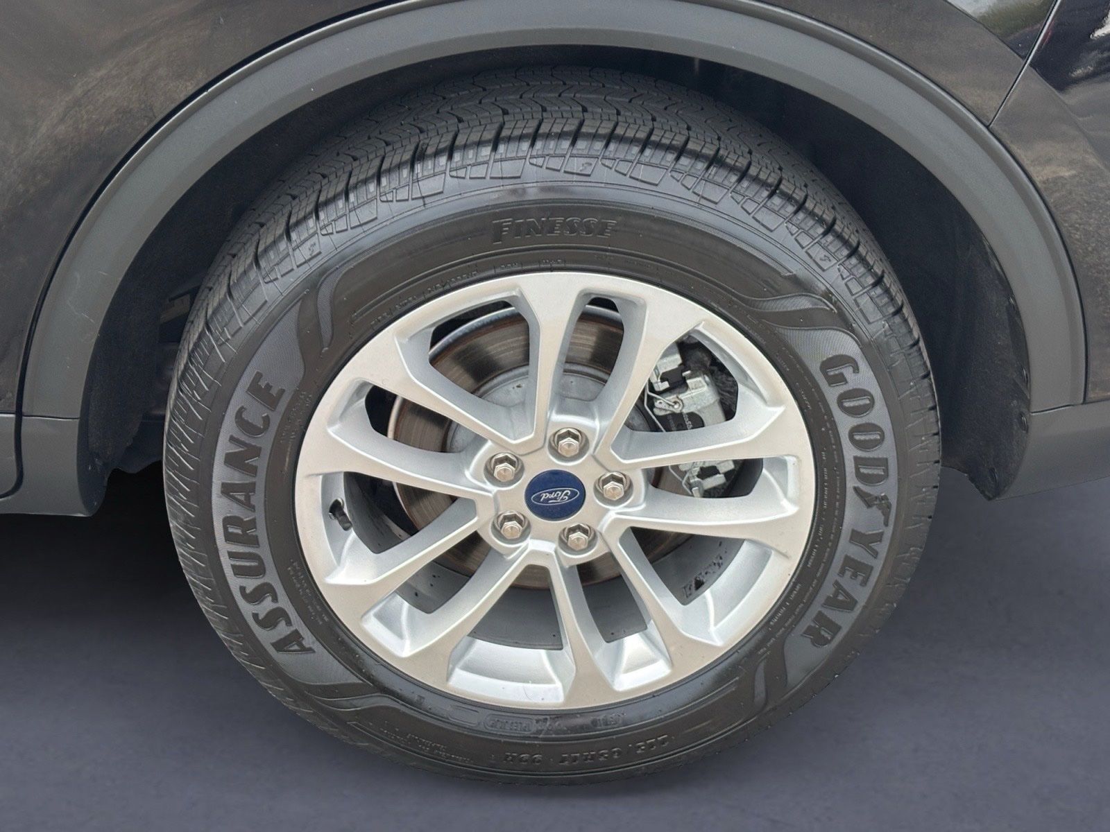 Photo 10