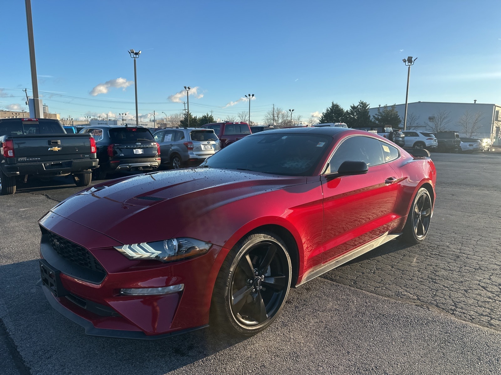 2023 Ford Mustang EcoBoost's photo
