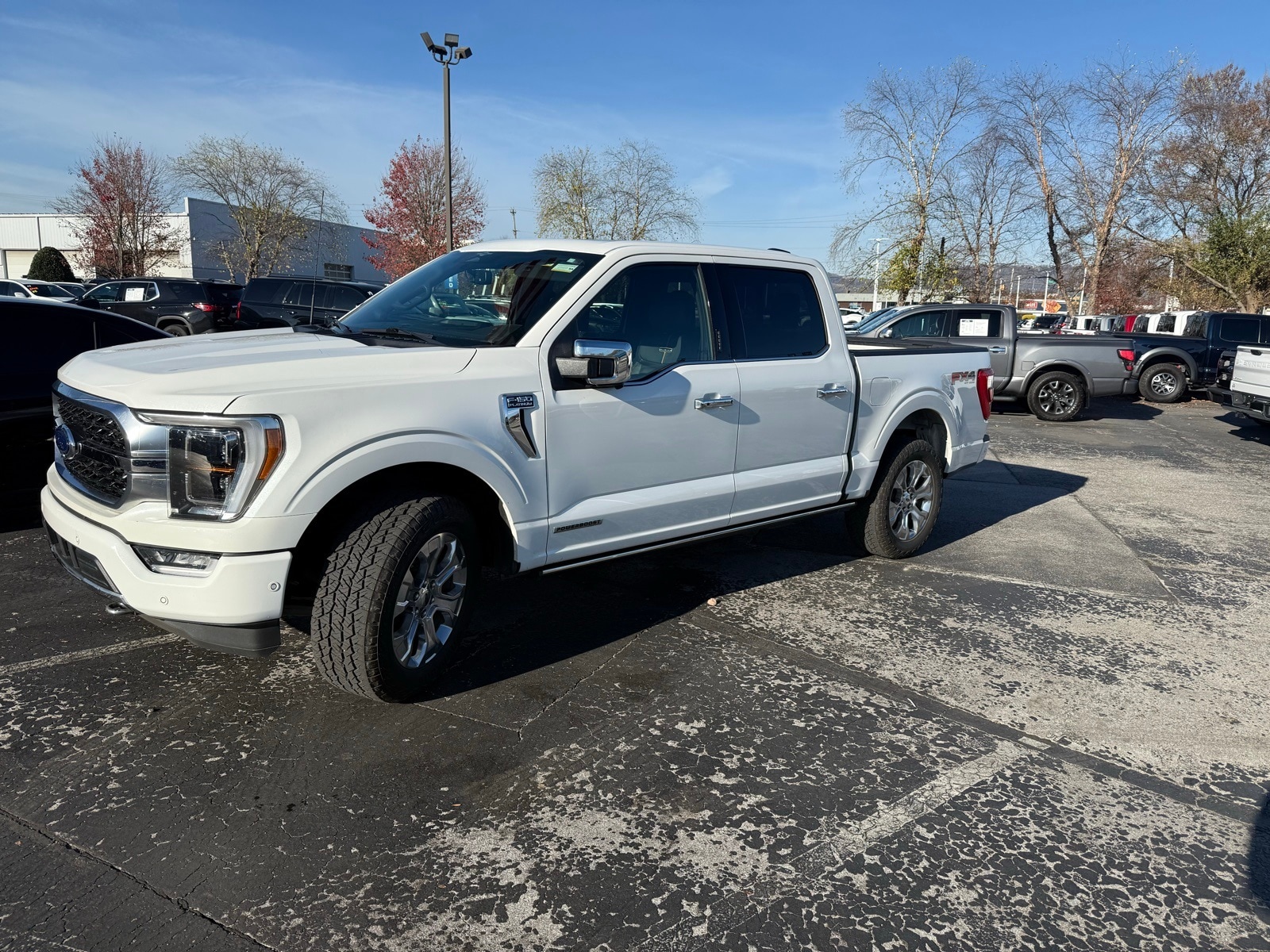 2023 Ford F-150 Platinum's photo