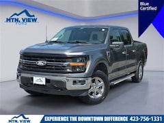 2025 Ford F-150 XLT Truck