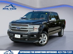 2020 Ford F-150 Platinum Truck