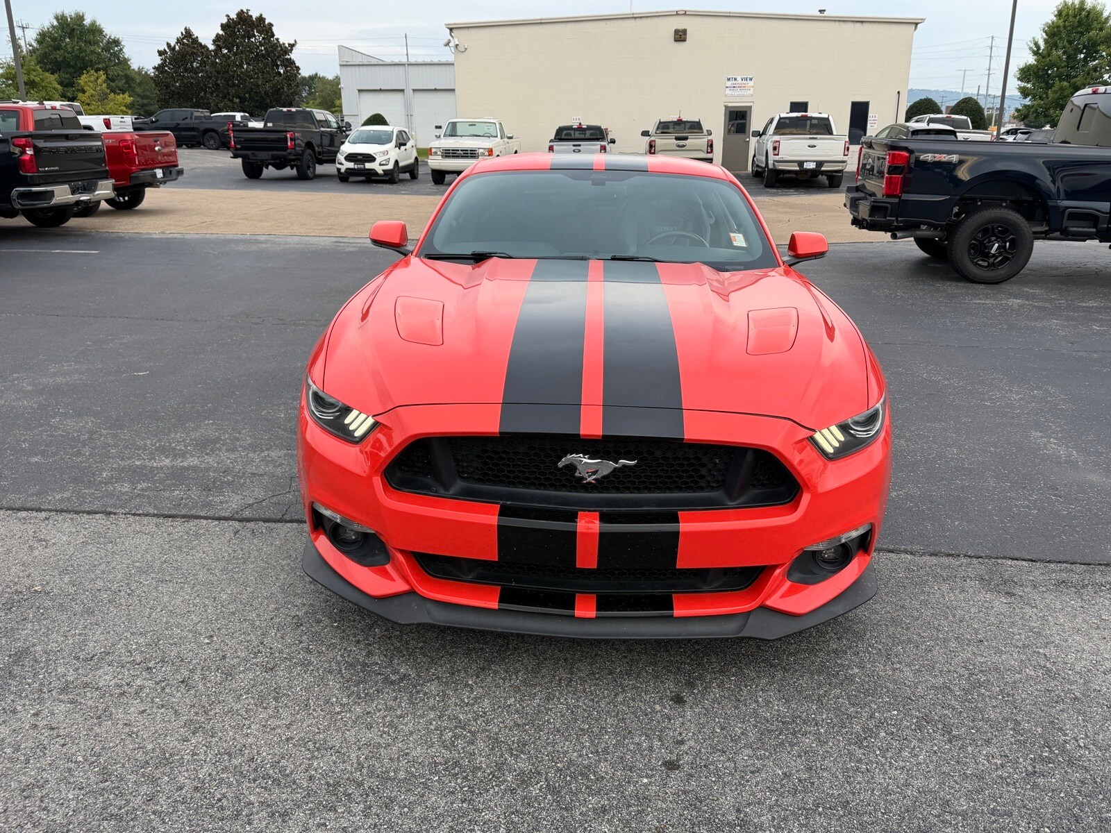 2015 Ford Mustang GT Premium photo 3