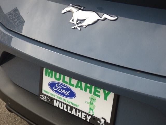 2025 Ford Mustang EcoBoost photo 3