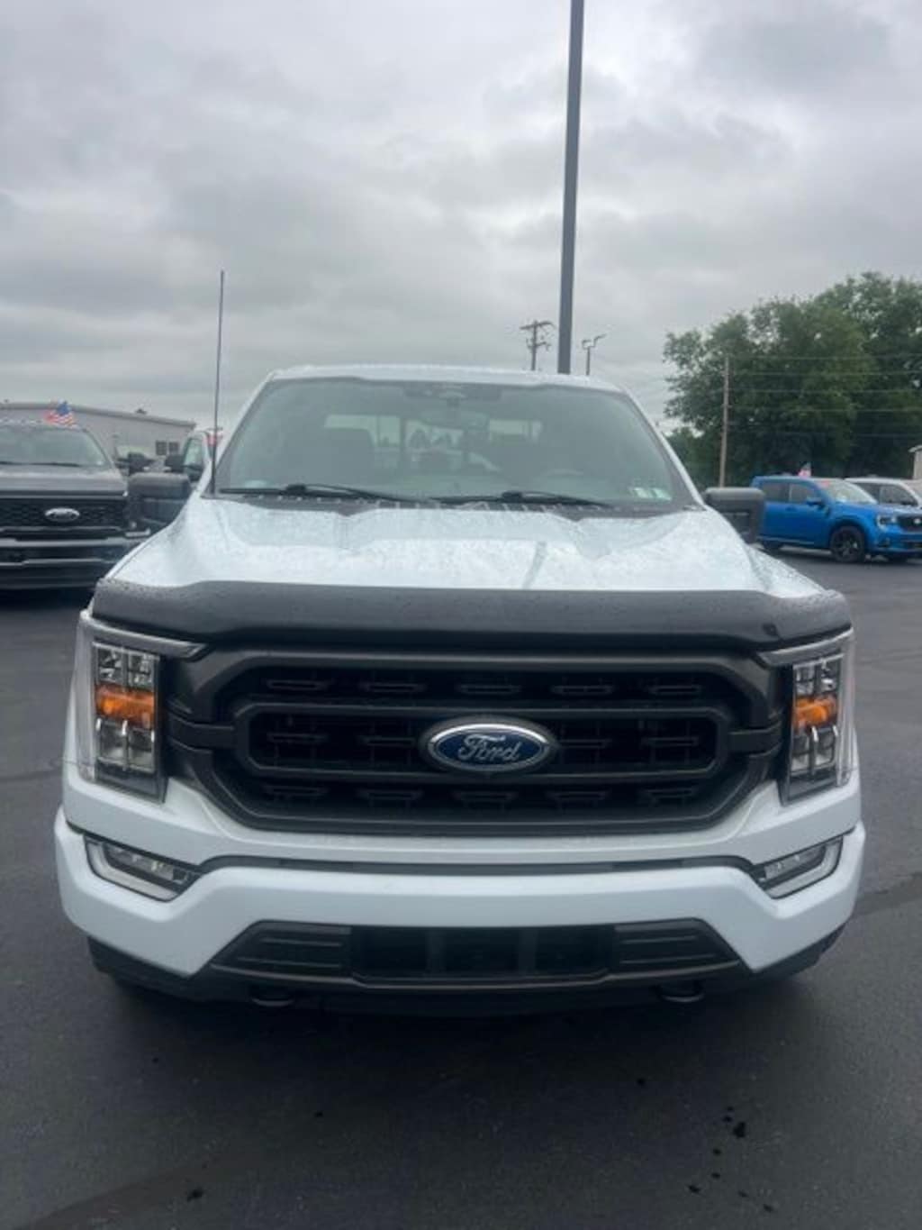 Used 2022 Ford F-150 XLT Crew Cab Truck
