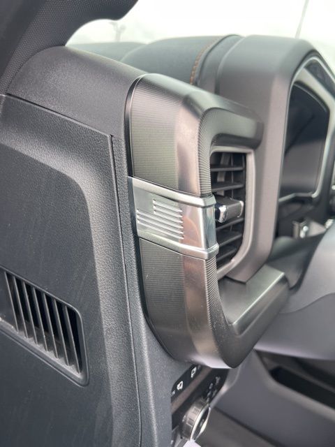 2024 Ford F-250 Super Duty Platinum - Photo 14