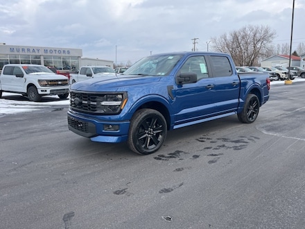 2025 Ford F-150 STX Truck