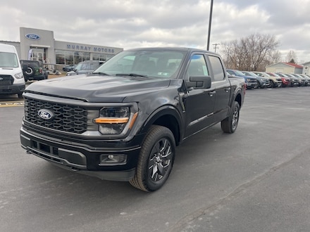 2025 Ford F-150 STX Truck