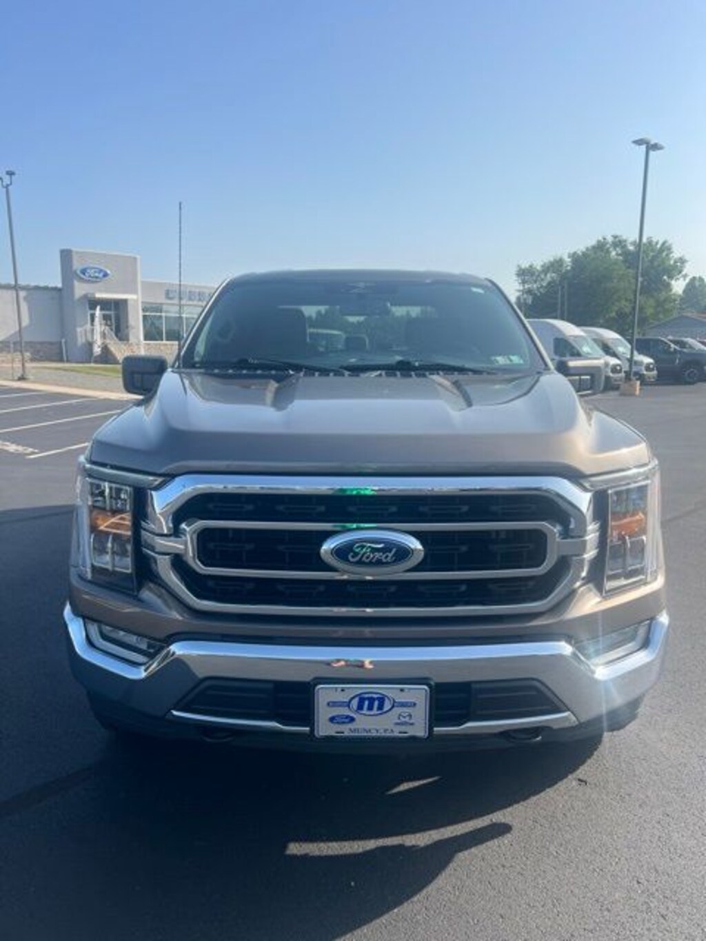 Used 2023 Ford F-150 XLT Truck