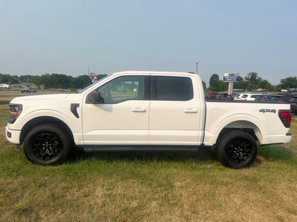 Used 2025 Ford F-150 XLT Truck