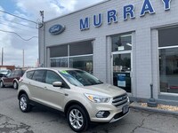 2017 Ford Escape SUV 2017 Ford Escape SUV