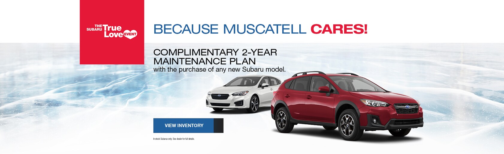 Muscatell Automotive Group Inc New Ford, Subaru dealership in