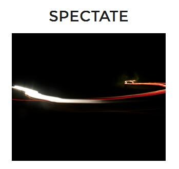 Spectate Button.JPG