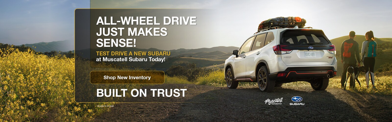 Ward Muscatell Automotive Group New Ford, Subaru Dealership in