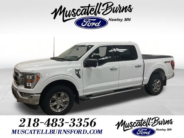 2023 Ford F-150 XLT 4x4 SuperCrew 5-1/2 Box's photo
