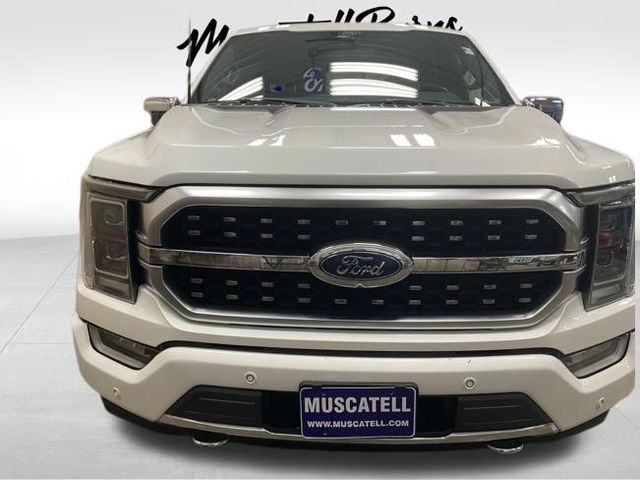 Used 2022 Ford F-150 Platinum with VIN 1FTFW1ED1NFB50407 for sale in Hawley, Minnesota