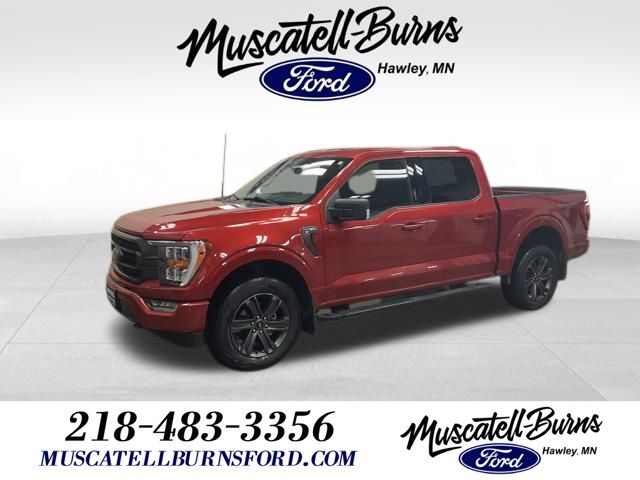 2023 Ford F-150 XLT's photo