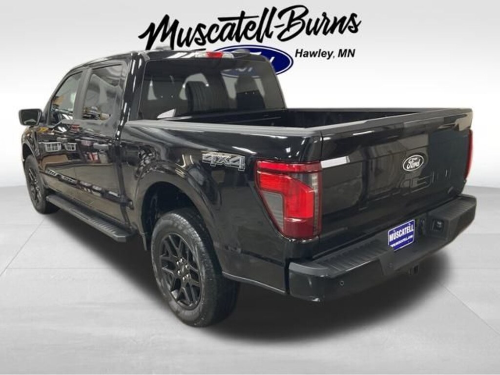 New 2025 Ford F-150 STX Truck