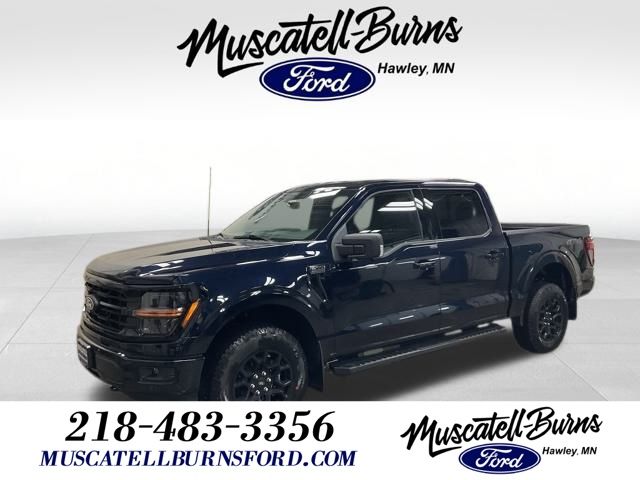 2025 Ford F-150 XLT's photo