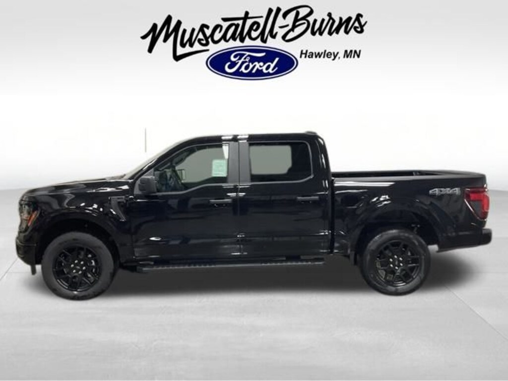 New 2025 Ford F-150 STX Truck