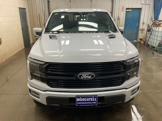 2025 Ford F-150 Platinum photo 2