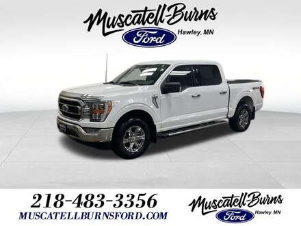 2023 Ford F-150 XLT Truck