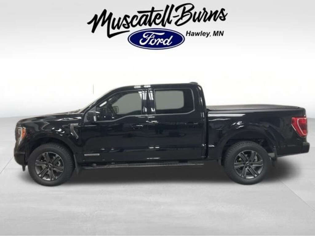 Used 2023 Ford F-150 XLT Truck