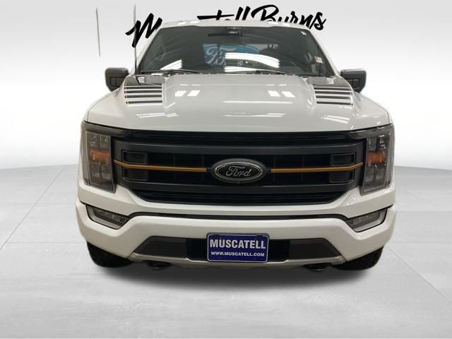 Used 2023 Ford F-150 Tremor with VIN 1FTEW1E81PFC55658 for sale in Hawley, Minnesota