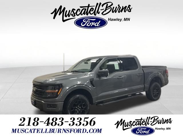 2025 Ford F-150 XLT's photo