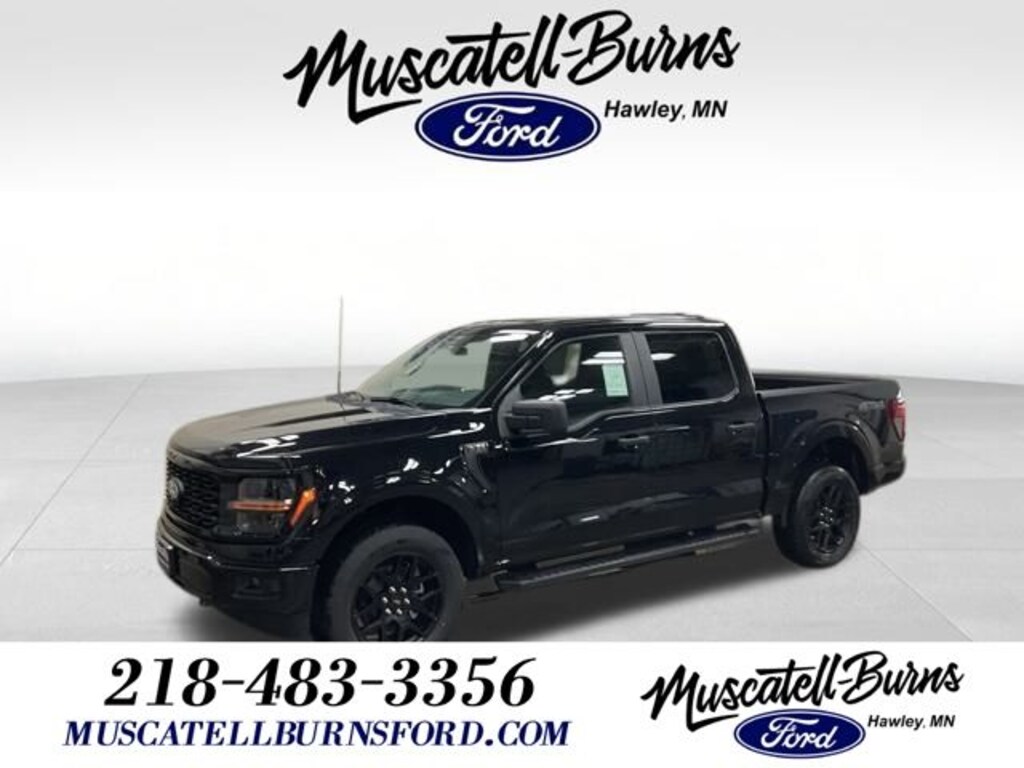 New 2025 Ford F-150 STX Truck