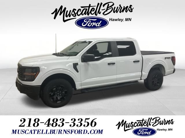 2024 Ford F-150 STX's photo