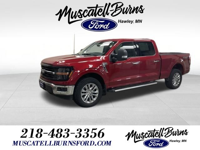 2024 Ford F-150 XLT 4x4 SuperCrew 5-1/2 Box's photo